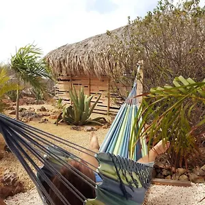  Appartement Bamba From Bonaire